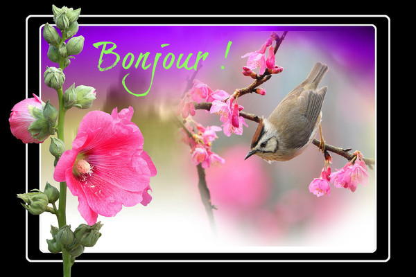 Bonjour, bonsoir..... - Page 40 Fef8c9db