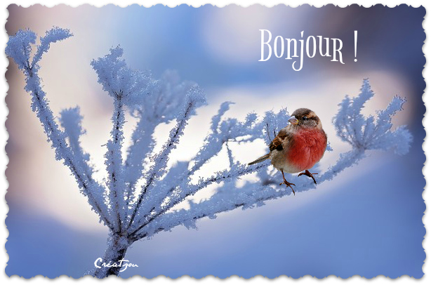 Bonjour, bonsoir..... - Page 24 C2429b72