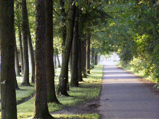 L077A Moerbeke - Lokeren   (Fietssnelweg F412) London_dag3044