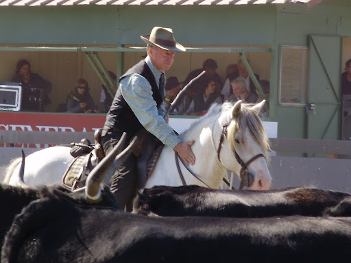 Mondial TREC 2008 - quitation de travail chevaux camargues 20-21-sept_08%20291