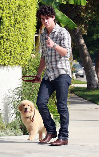 ficha de Stefan Ridle en proceso Nick-jonas-dog-9168-7%5B5%5D