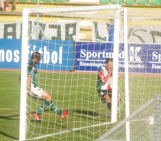 PALESTINO VS S.W. P3141060