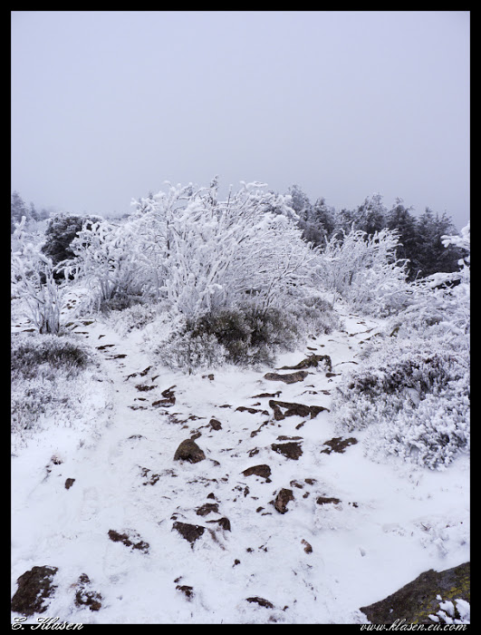 Pilat 2 - Paysages et divers 22-border-B