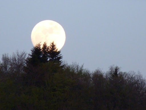 Et un lever de lune ? Lune003