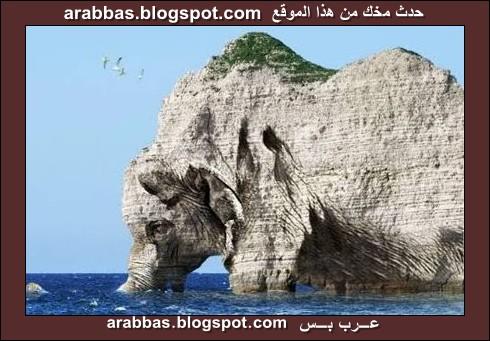 أعجب وأغرب الصور ( مجموعة 6 ) 10092006-182900-3