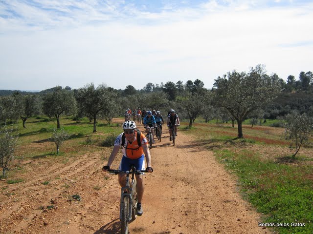 VIII BNO NACIONAL DOS CICLISTAS EM FTIMA 28 DE MARO DE 2010/ Entroncamento Fatima Entroncamento IMG_1385