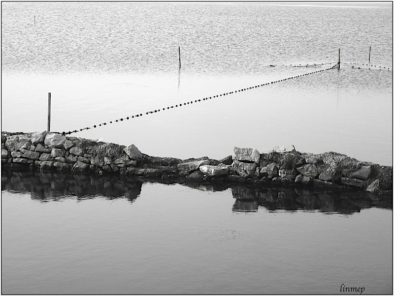 Traces de pêche ... P1030111