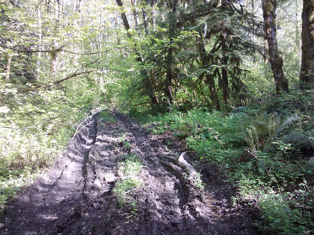 Mountain Loop Highway Ride May 8th 2010-05-13%2017.18.25