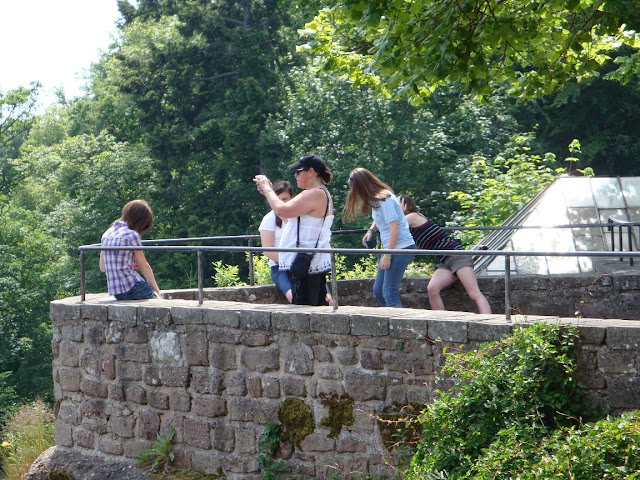 WEEKEND DANS LES VOSGES 26 ET 27 JUIN DSC00265