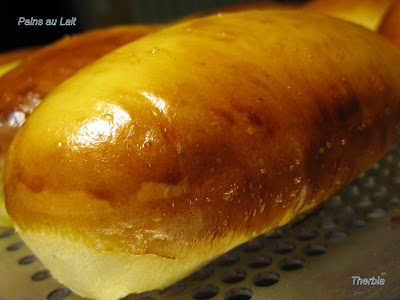 pain - Pain au Lait, Excellentissime!!! - Page 8 IMG_1094