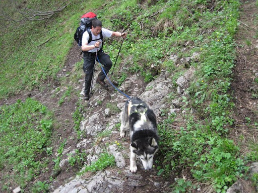 Schneebergland-Dogtrekking 2010%2005%2029%2B30%20Schneeberg-DT%20251