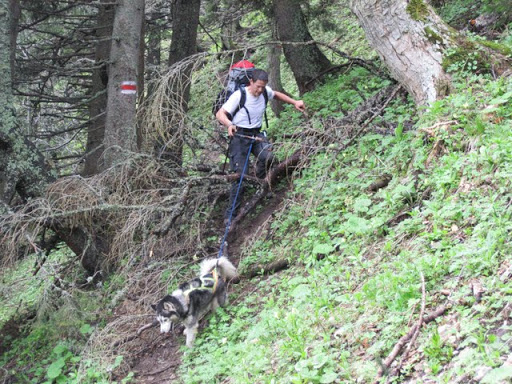 Schneebergland-Dogtrekking 2010%2005%2029%2B30%20Schneeberg-DT%20249