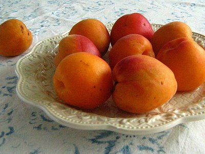 اسماء وصور اشجار الفاكهه Prunus%20armeniaca