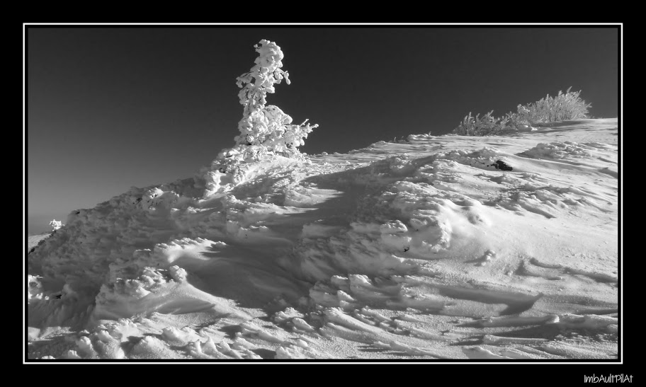 Crêt de l'Oeillon (N&B) - 1er février 2010 P1120458-1_filtered_GF