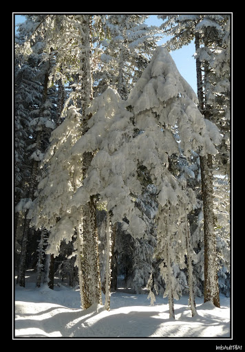 Petite série lors d'une sortie ski au Bessat (42) P1120517_GF