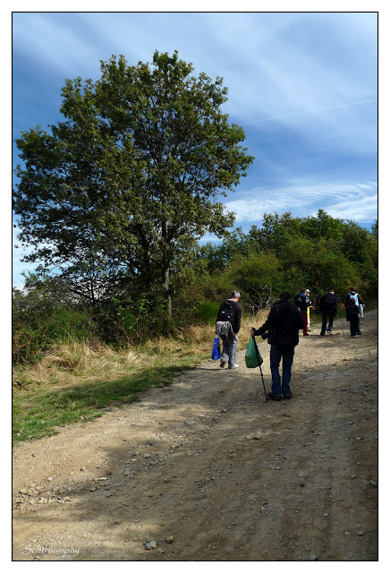 Lumix Day Rhone Alpes, les photos - Page 2 P1160460_GF