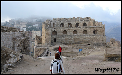 Jordanie : au pays des Nabatéens, des Grecs, des Croisés... et de Dame Nature ! 154%20Karak