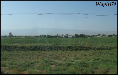 Sur les Routes de la Soie : Ouzbekistan et Tadjikistan - Page 2 31-trainTachkent-Samarcande