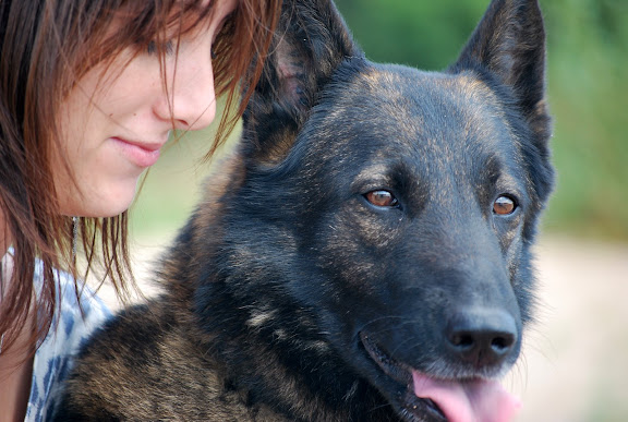 Votre chien et vous DSC_0445