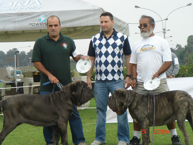 Algunas fotos del 5to match (Clase Cachorros) DSC01018