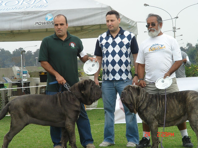 Algunas fotos del 5to match (Clase Cachorros) DSC01019