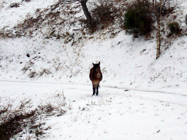 SALIDA MES DE FEBRERO - Página 2 DSC05657