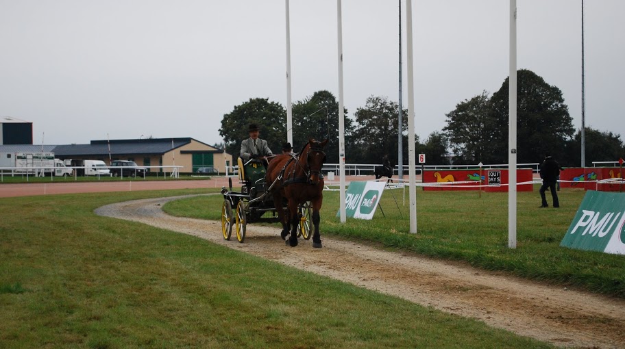 Championnat de France et journées internationales de l'attelage: Lisieux 2009 Coulisse%20%2819%29