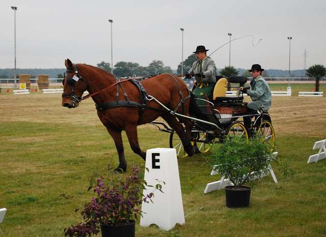 Championnat de France et journées internationales de l'attelage: Lisieux 2009 Dressage%20%2821%29