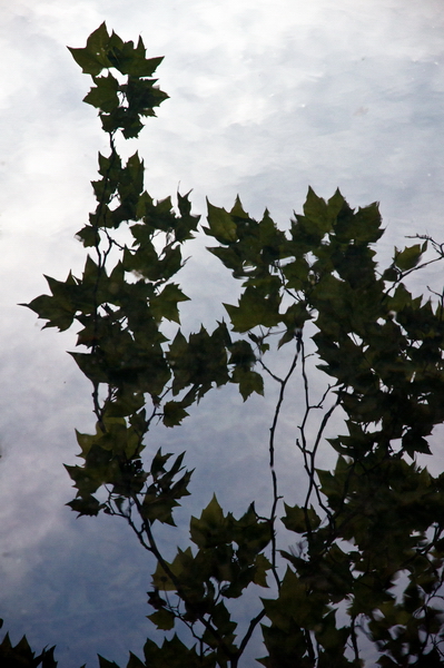 Reflets 20100608_DSC_0160_reflet