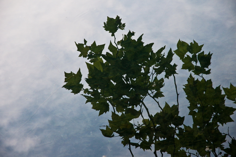 Reflets 20100608_DSC_0176_reflet