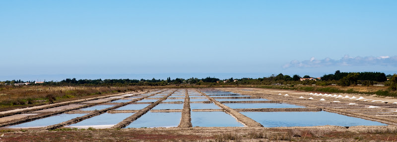 Sortie photo sur Oleron (17) Samedi 07 Aout 2010 à 10h00 - Page 5 20100807_14_marais_salant_D90_DSC_4713-Modifier-2