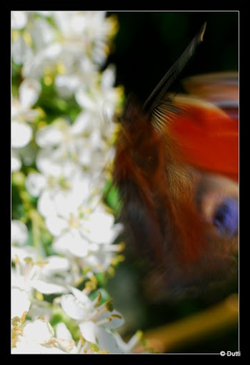 LUMIXDAY BRETAGNE : Les photos made in BZH Abstract_petit