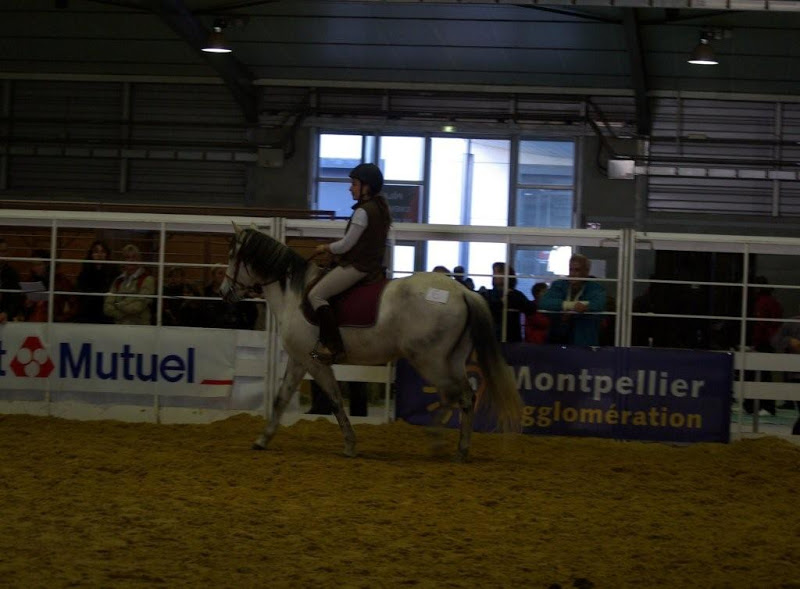 Championnat de France mod et all du cheval barbe IMGP5811