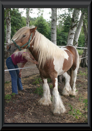 Visite aux Chevaux de Tan! 19