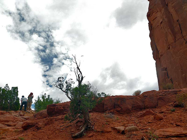 ¿Quien se viene a recuperar..? Capitol_Reef08