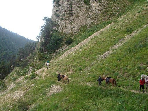 Rando Hautes Alpes...Beauchaîne.... - Page 12 DSC00994