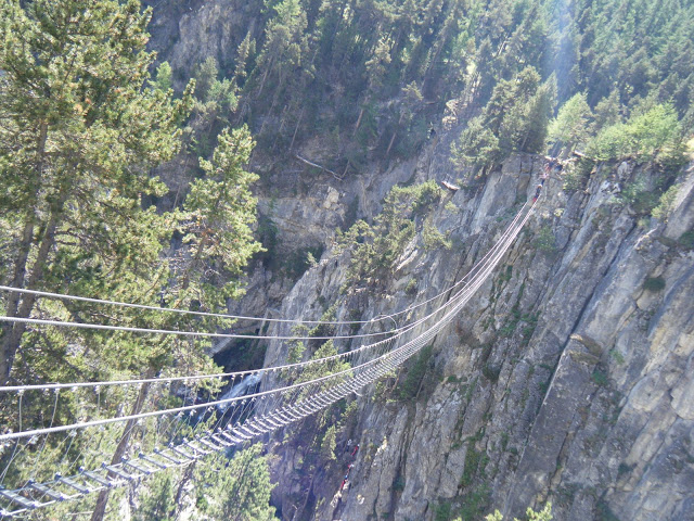 Mirad que viaje a Alpes han hecho unos Alpes1%20(27)