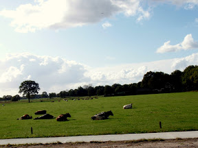 Eindhoven - Delft - Amesterdão PA170066