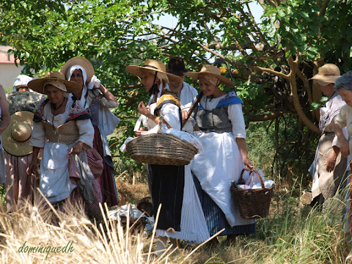  Fête des Moissons   P7144489a