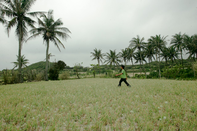 Lý Sơn Island - đảo của tôi Nason_Vi_-0271