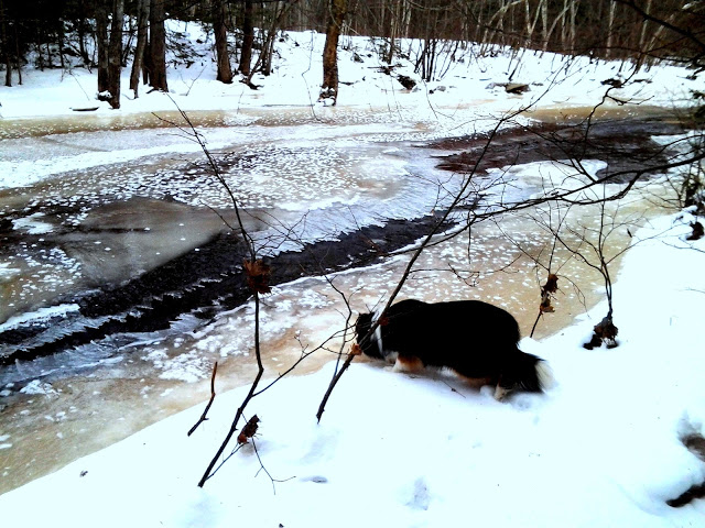 Canada New-Brunswick 2013-02-08%252015.14.52