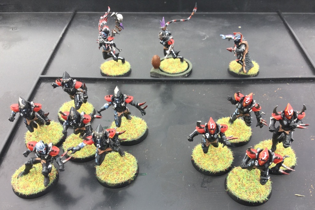 Blood Bowl 5th with Dark Elves IMG_2322