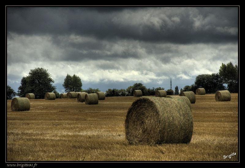 Ou est l'aiguille ? DSC_8384-HDR%202-border