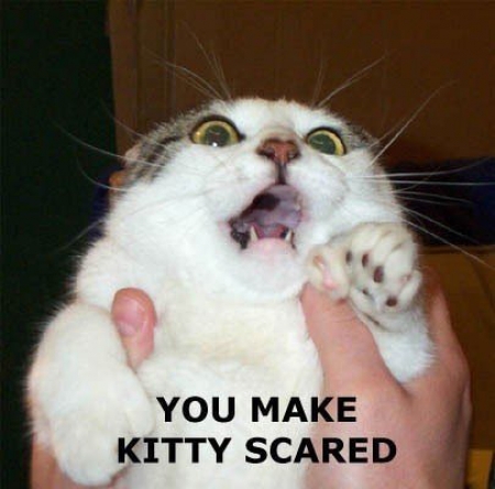 Images debiles ... - Page 6 Lolcats_scared