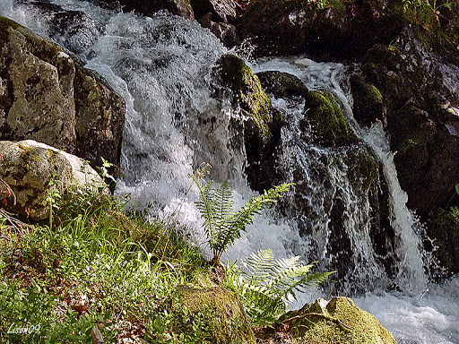 Une tournée des cascades CascadeP1010952