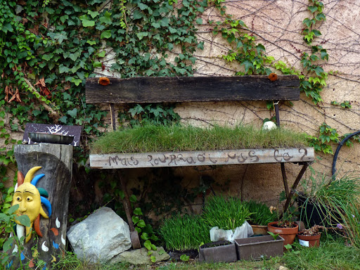 HC Octobre 2010 "BANC(S) PUBLIC(S)" Herbe1190664