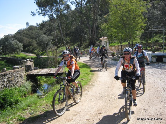 VIII BNO NACIONAL DOS CICLISTAS EM FTIMA 28 DE MARO DE 2010/ Entroncamento Fatima Entroncamento IMG_1404