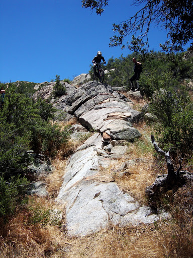 Noble Canyon 1/15/11 Saturday Morning DSC04808