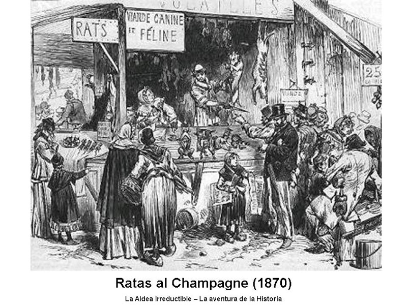 El Bestiario Ratas%20al%20champagne