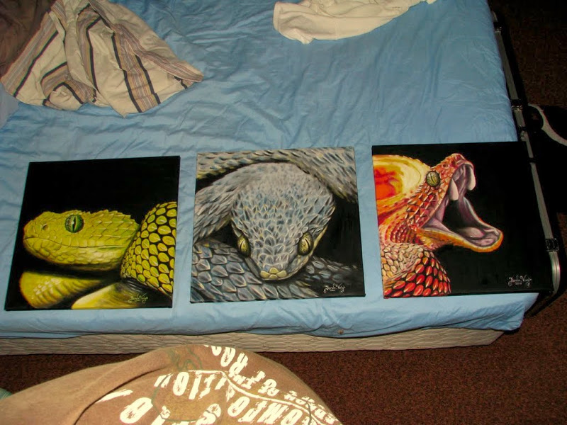 New Atheris Paintings !  IMG_0557